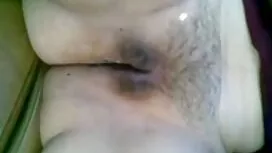 - Х-София Уайлд висо ...