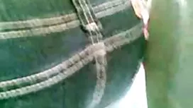 Истински немски Суин ...